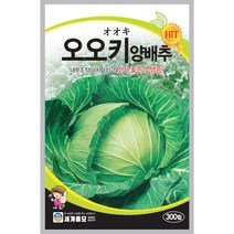 오오키양배추 씨앗 300립 / 쌈 채소 씨앗 종자 양배추 텃밭가꾸기
