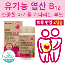 프리미엄 유기농 엽산 엽산 영양제 엽산 FOLICACID 임산부 엽산 권장량 엽산 남자 수유 엽산 비타민 B12 엽산 임산부 엽산 복용시기 엽산 보충제 임신 초기 영양제, 2개월분, 300mg x 60정 (하루1정)