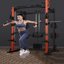 다기능 홈 종합 훈련 장치 스미스 머신 갠트리 휘트니스 장비 조합 스쿼트 랙 버드, C 스타일