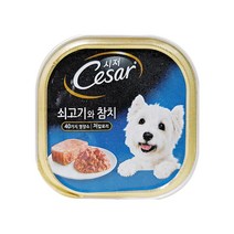 시저 반려견 주식캔, 소+참치, 100g, 12개