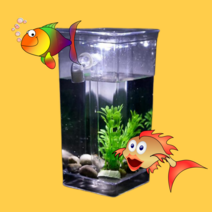 심플이즈 자동청소어항 니모 금붕어 키우기 해수어항세트