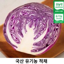 국내산 2023년 친환경 유기농 무농약 적채 1kg 2kg 3kg 5kg 국산 적양배추 싱싱한 빨간 양배추 붉은꽃 양배추 이유식, 1개