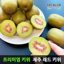 이츠올릿 제주 레드 키위 5kg 10kg 점보, 2kg(중대_25과전후)