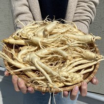 푸드공작소 금산 세척 수삼 5년근 원수삼 난발삼 300g 8-12뿌리 4-6뿌리 세척삼, 1개, 04)세척 난발삼 8-12뿌리 300g(±20g)