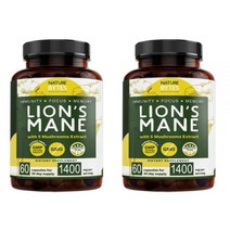 NATUREBYTES Lions Mane 5 Mushrooms Extract 네이쳐바이트 라이온스 메인 머쉬룸 영양제 60정 2팩