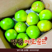 특품 신선한 당일선별 메로골드 8개16개 청자몽 대과 킹사이즈 스위티 그린 자몽, 24개, 8개