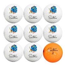 [엑사티앤씨]중고 세인트나인 화이트 A-급 로스트볼, 색상:타이틀리스트 V1/V1X혼합|사이즈:B급 30알, 단품