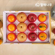 팜커머스 [열매나무]정성담은 과일세트 4호[사과3과+배3과+한라봉3과+천혜향3과] 4.5kg, 없음