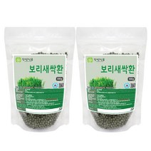 [장명식품] 보리새싹환 새싹보리환, 300g, 2개, 2개
