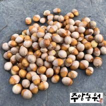 [주암농원] 건강에 좋은 햇은행 은행 깐은행 국산은행 500g