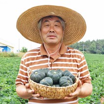 과일꾼 미니 밤호박 단호박 보우짱 국내산 가정용 특품 세척 비세척, 미니밤호박 2kg(4-8개), 1개