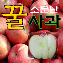[산지직송] 2022년 햇사과 부사 소미네 사과, 1박스, 03.사과 가정용흠과 소과 5kg (20~22과내외)