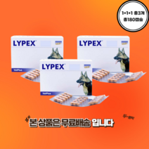 강아지 고양이 라이펙스 60캡슐 췌장효소 보충제 애견영양제 1+1+1 빠른배송, 3박스