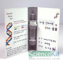 (SC) DNA추출2 동물세포(4인용) 과학실험키트 조별실험 실험교구 과학교재 단체실험