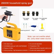 스팀세차기 고압 무선 차량용 진공 살균기 에어컨 세척기 32, ww366c-1, 220v, 유럽 ​​연합