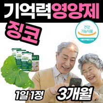 두뇌건강 식약처 기억력 저하 감퇴 혈행 징코 플러스 플라보놀배당체 징코 은행입 추출물 ginkgo biolba 보조제 깜박 직장인 부모님 어르신 건강 기능성 식품 노인 어른, 30정, 3박스