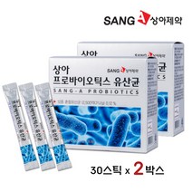 상아제약 유아유산균 키즈 어린이 아기 온가족 유산균 엘지지 김치유산균 프로바이오틱스 프리바이오틱스 락토바실러스 비피더스균 비교 추천, 2박스, 30포