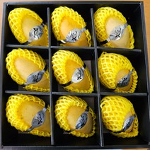 농장에서바로 프리미엄 항공망고, 1box, 노란망고 선물세트 (9개입)