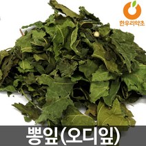 뽕잎차 효능 국산 오디잎 먹는법, 뽕잎200g, 1개