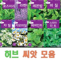 허브 씨앗 모음 17종 로즈마리 라벤다 레몬밤 바질 카모마일 페퍼민트 스피아멘트 에키네시아, 16.스피아민트