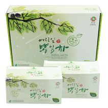 어린잎 뽕잎차 티백 뽕잎가루효능 당뇨에좋은차 뽕나무 누에 뽕잎차효능 티백 120개, 1g