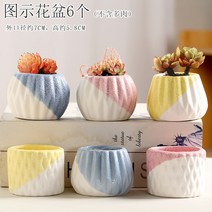 다육화분 다육이 심폴 화분 식물 미니 화분세트, 도자기, 옵션40