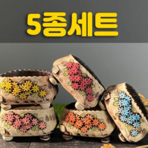 다육맘 수제화분 다육화분 도향#217, 5종세트