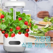 식물재배기 실내 가정용 LED 식물 채소 수경재배기 베란다 텃밭