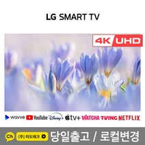 LG 55인치 4K 스마트 UHD TV 55UP8000 빠른설치, 2. 수도권지역 벽걸이 설치 요청