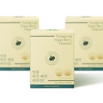 [3개월분] 영롱 비건 베리 비타민C, 30정, 3개