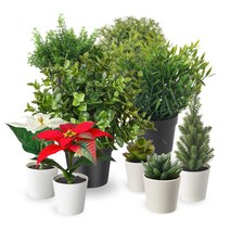 조화 인조나무 인테리어 카페 미니조화, 1개, 8.다육식물 3종