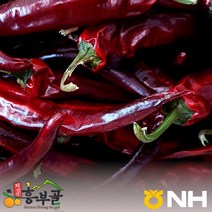지리산농협 23년 지리산 햇 건고추, 10근(6kg), 1개