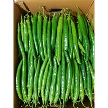 달고 아삭한 롱그린(아삭이고추), 500g