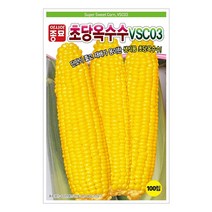팜스마켓 생식용 초당옥수수씨앗 종자 100알, 초당옥수수씨앗 100립