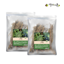 건와송 와송차 국산 말린 와송 건재 원물 2팩