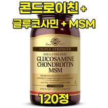 인기 솔가글루코사민120 추천순위 TOP100 제품들