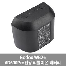 공식정품 고독스 CB-09 케링 케이스 휴대용 가방 AD600 AD360 AD600Pro