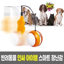 분리불안 강아지 고양이 장난감 자동 놀이기구 펫로봇, 1개, 주황볼
