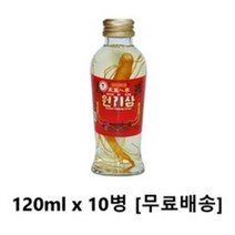 사랑주는쇼핑몰 제일종합식품 원기삼 120ml x 10병, 40병