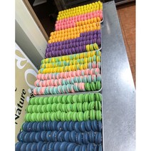 HACCP마카롱납품 뚱카롱납품 수제 마카롱 도매 대량주문 단일 마카롱 160개, 말차