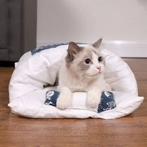 고양이이불 방석 강아지담요 쿠션 이불베게세트, 블루S
