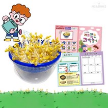 milovhi 관찰일지 포함 대형 콩나물 기르기 세트 어린이집 콩나물 키우기 키트 세트, 콩나물키우기세트, 5세트