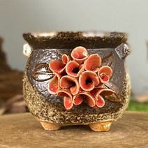 다육맘 수제화분 헤이린, 3번