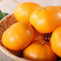 [정감푸드] 제주 서귀포 산지직송 제철과일 명품 천혜향 가정용 특가할인 2kg 3kg 4.5kg, 6. 선물용 4.5kg (14~20과)