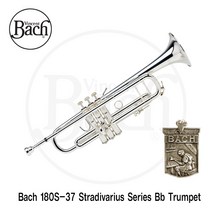 바하 Bb 트럼펫 - 스트라디바리우스 시리즈 180S-37 LT스타/LR, 180S37