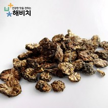 [해비치] 건노니 건조노니 열매 500g 미얀마산, 단품