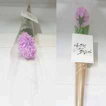영하우스 한송이 카네이션 비누꽃 어버이의날 스승의날 단체선물, 보라3개