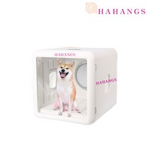 하행스 (AS보장) 펫드라이룸 강아지드라이룸 강아지건조기 10kg 털 살균소독, 하행스 1200W 전기 산소 배출 소독 (65L)