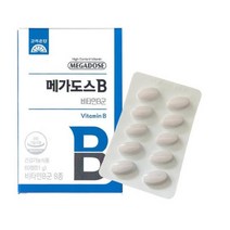 고려은단 메가도스 B 비타민 60정, 1개