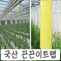 해충 방제 끈끈이 트랩 양면 50 장 갈색날개매미충 퇴치 방제 예찰